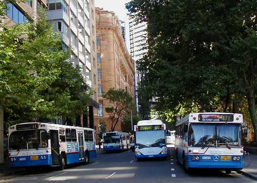 Mercedes buses at Circular Quay